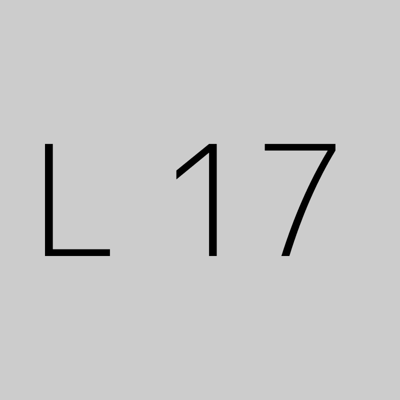 L 17 